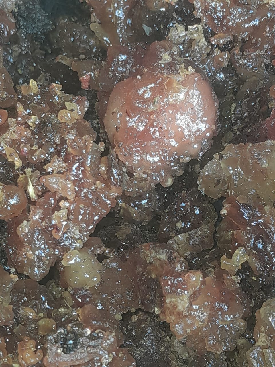 Boswellia frankincense resin