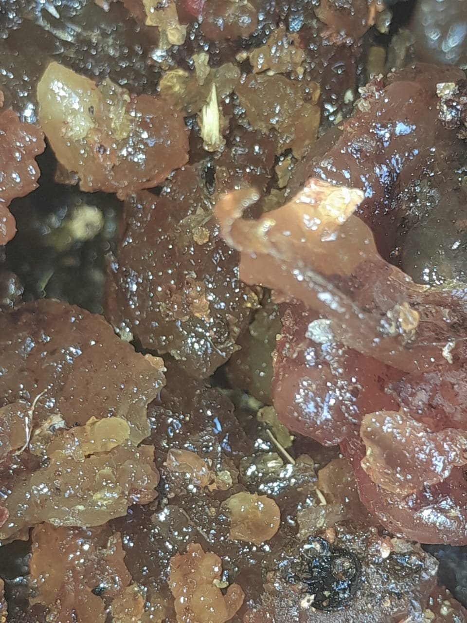 Frankincense in perfumery