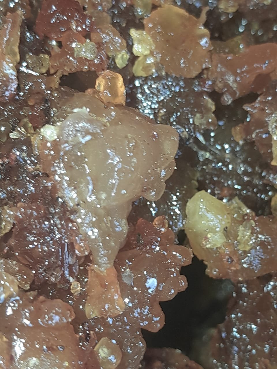 Frankincense traditional wellness